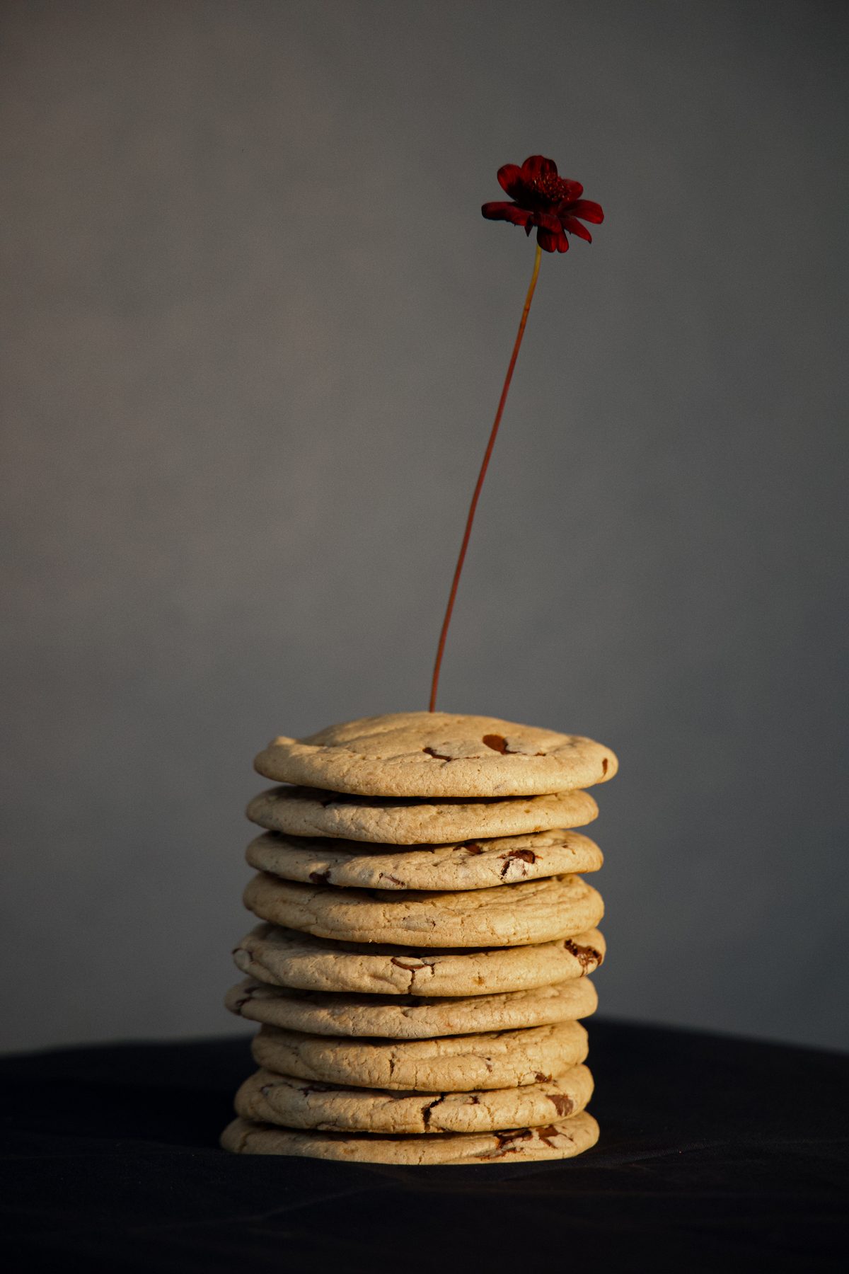 A tall stack of cookies with a single dark red flower rising from the top